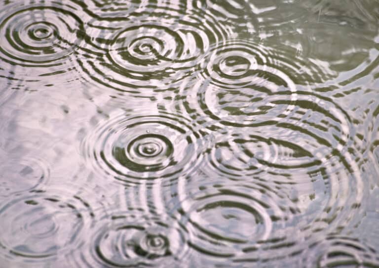 Raindrops falling in water